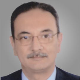 Mohamed Tawfik Mohamed El Tabbakh